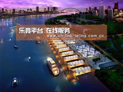 案例展示八