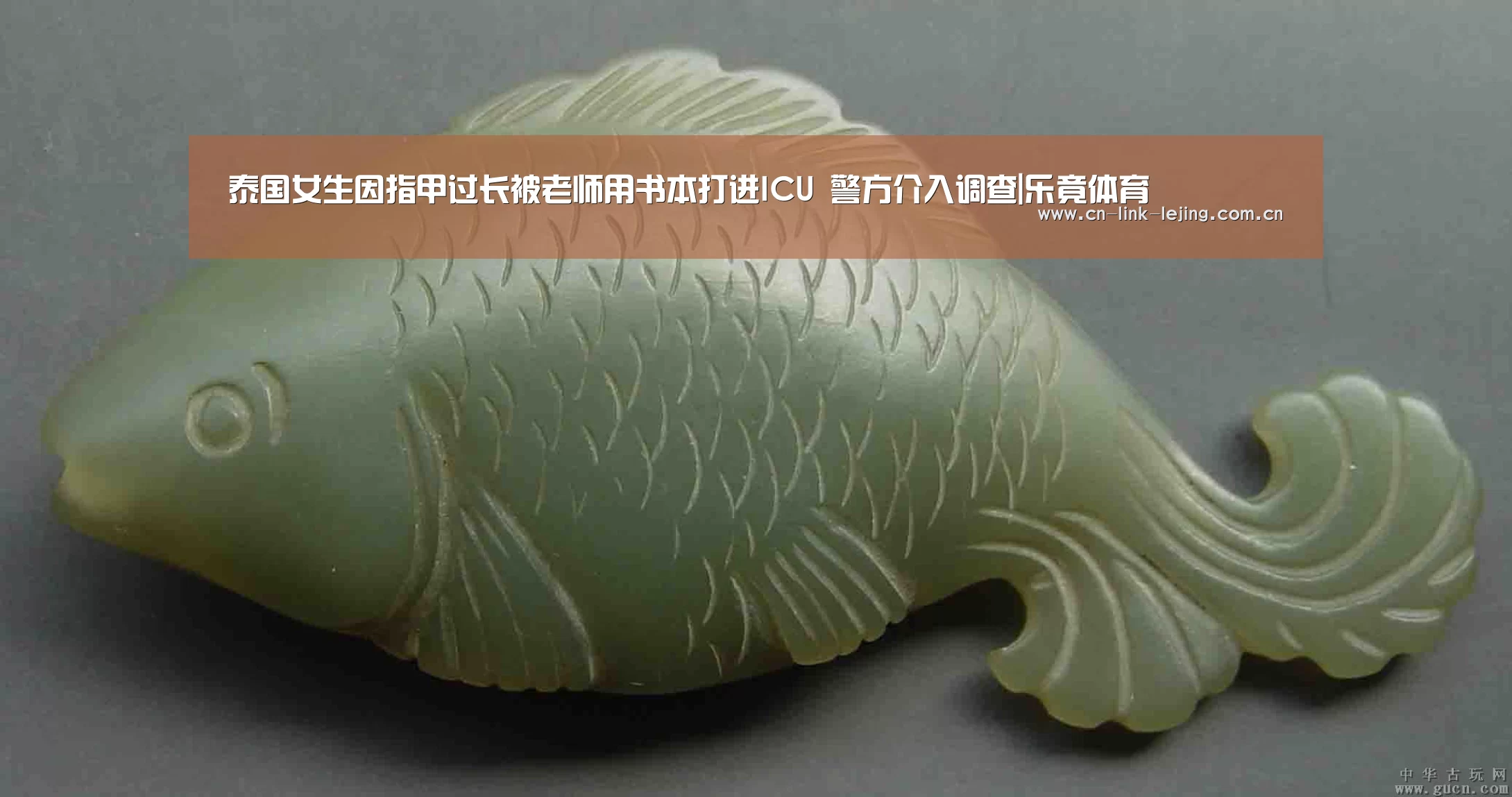 乐竟体育