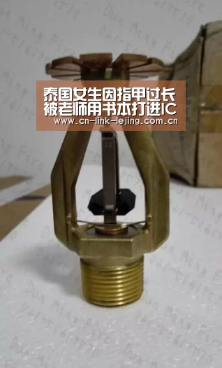 乐竟