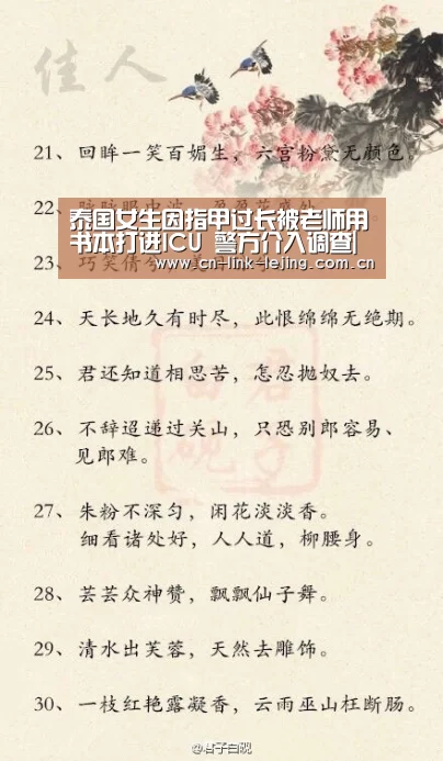 乐竟体育
