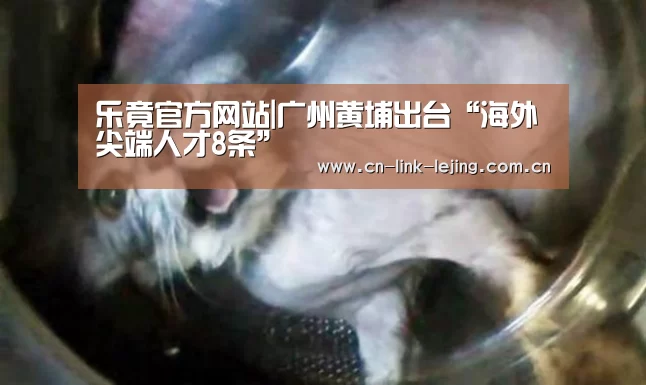 乐竟官方网站|广州黄埔出台“海外尖端人才8条”(图3) 乐竟官方网站