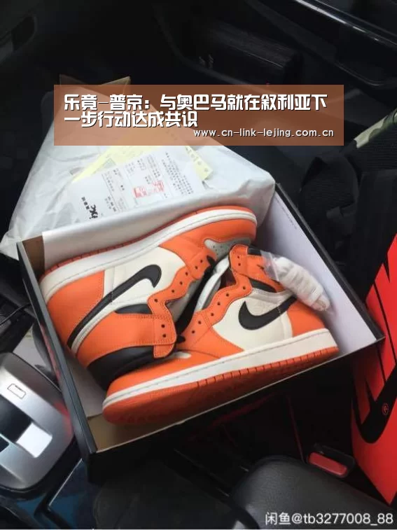 乐竟-普京:与奥巴马就在叙利亚下一步行动达成共识(图3) 乐竟