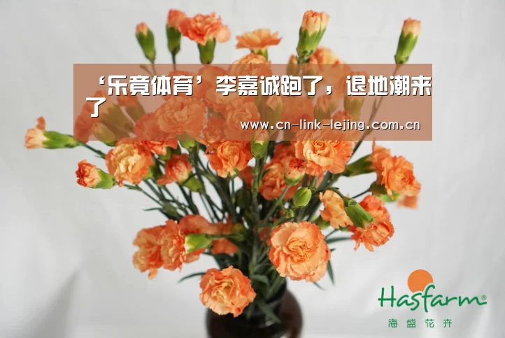 乐竟官方网站