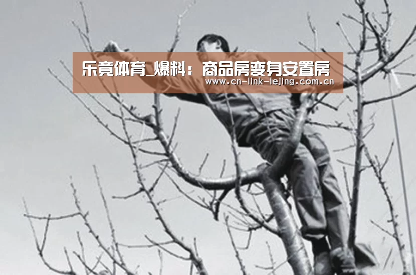 乐竟体育